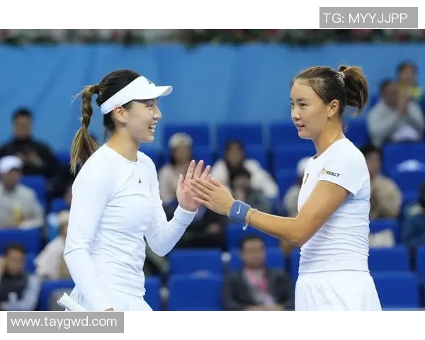 广州网球队的蜕变之旅:全国锦标赛背后的奋斗与坚持