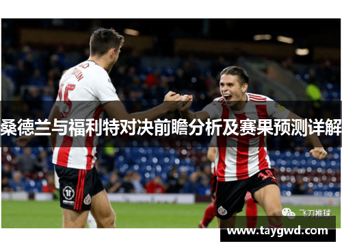 桑德兰与福利特对决前瞻分析及赛果预测详解